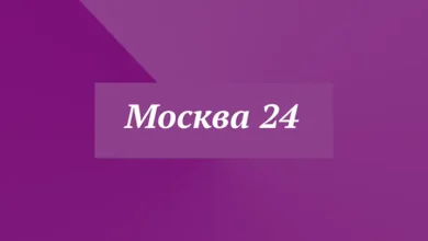 Moskva 24 live online